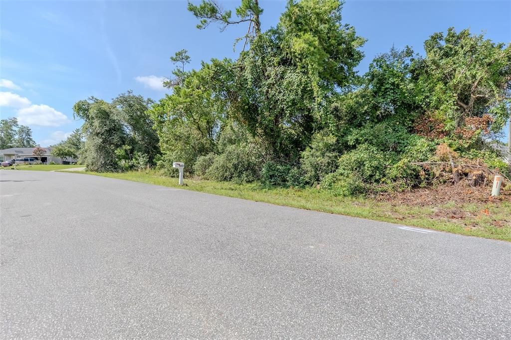 For Sale: $46,000 (0.23 acres)