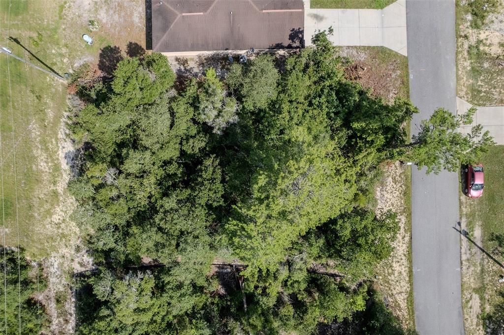 For Sale: $46,000 (0.23 acres)