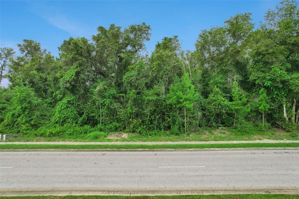 待售: $325,000 (0.69 acres)