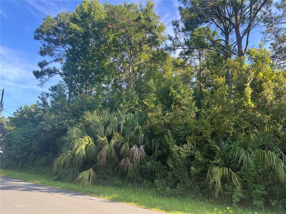 На продажу: $79,000 (0.23 acres)