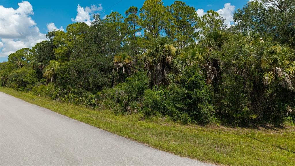 For Sale: $15,900 (0.23 acres)
