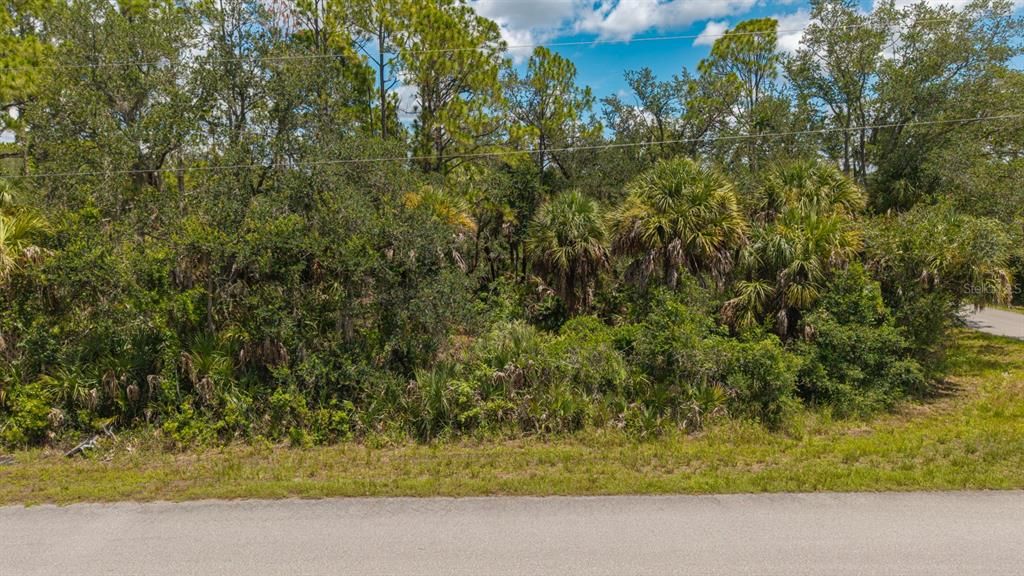 For Sale: $15,900 (0.23 acres)