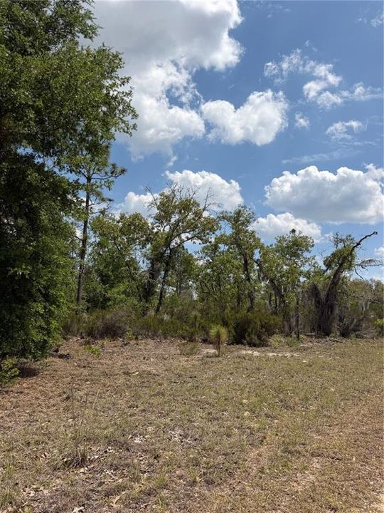 For Sale: $315,000 (20.01 acres)