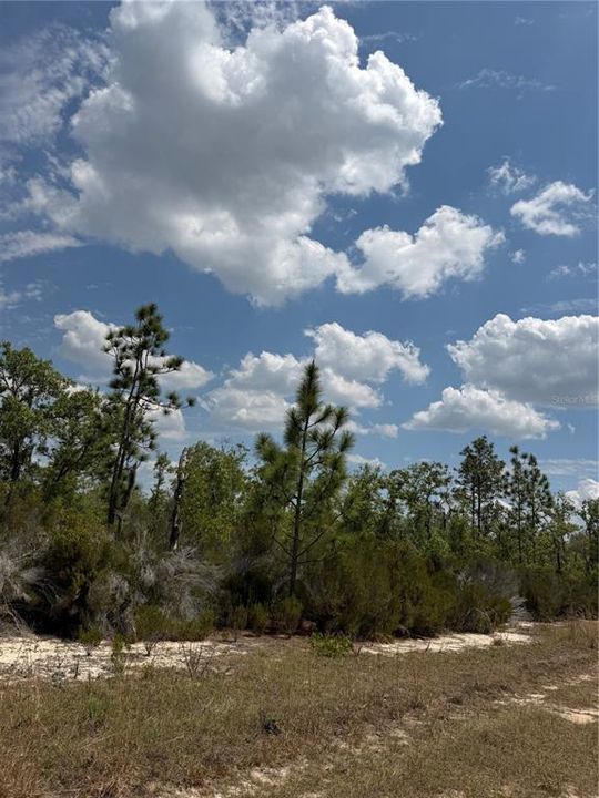 For Sale: $315,000 (20.01 acres)