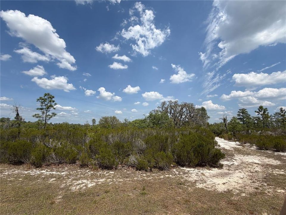 For Sale: $315,000 (20.01 acres)