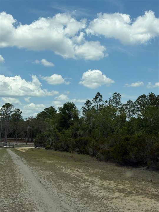For Sale: $315,000 (20.01 acres)