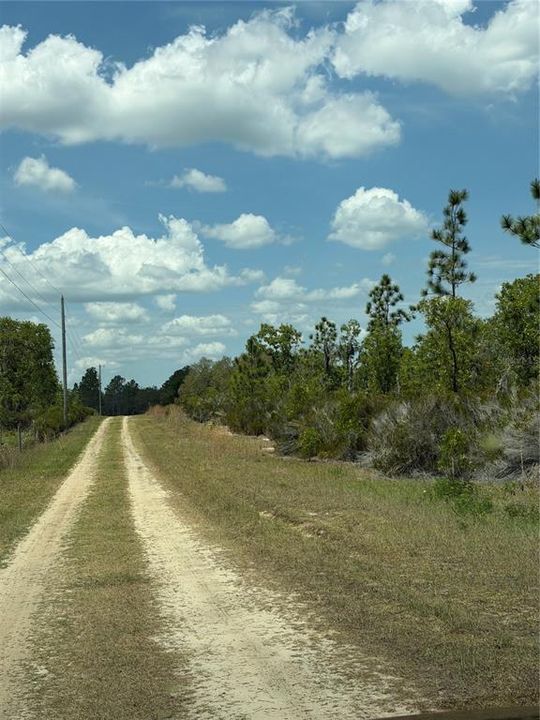 For Sale: $315,000 (20.01 acres)