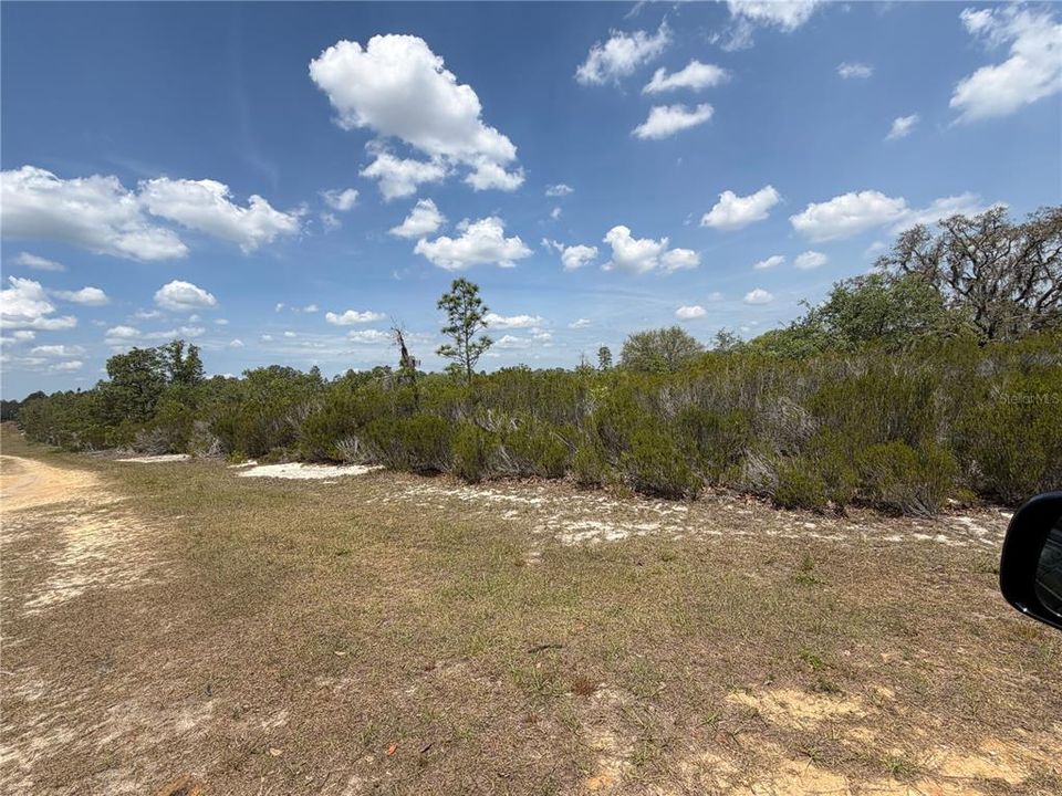For Sale: $315,000 (20.01 acres)