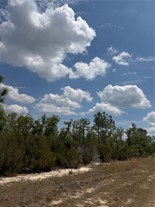 For Sale: $315,000 (20.01 acres)