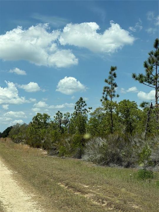 For Sale: $315,000 (20.01 acres)