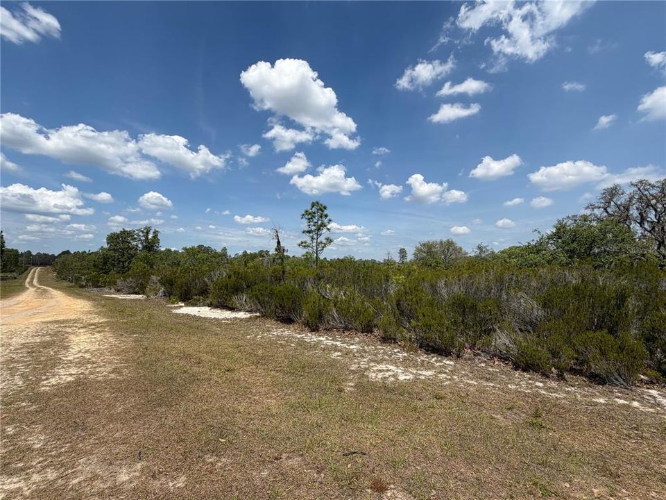 For Sale: $315,000 (20.01 acres)