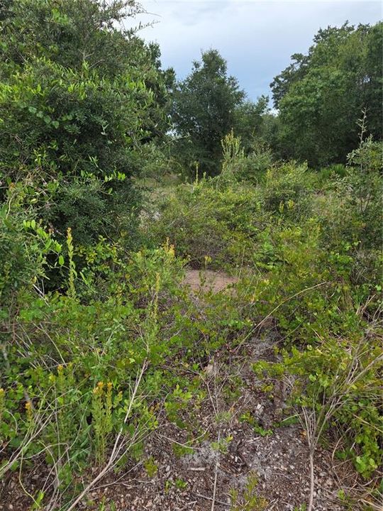 For Sale: $39,500 (0.23 acres)