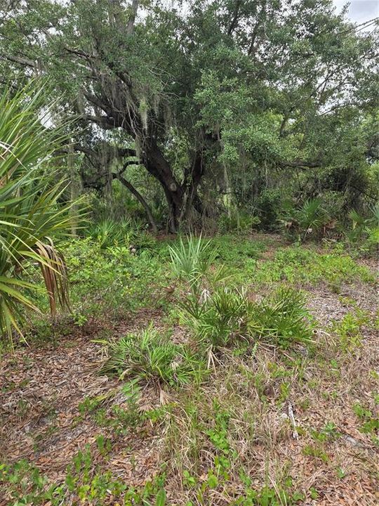 For Sale: $39,500 (0.23 acres)