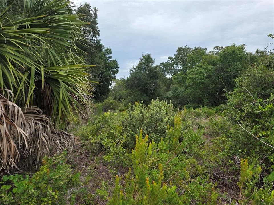 For Sale: $39,500 (0.23 acres)