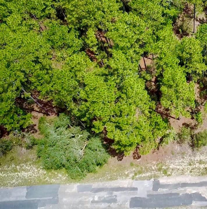 合同活跃: $30,000 (0.50 acres)