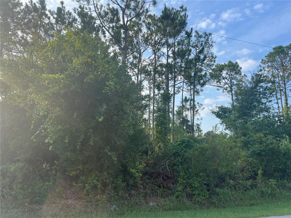For Sale: $75,000 (0.23 acres)