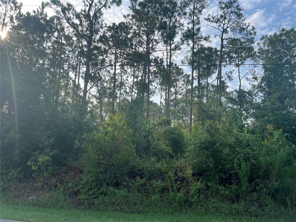 For Sale: $75,000 (0.23 acres)