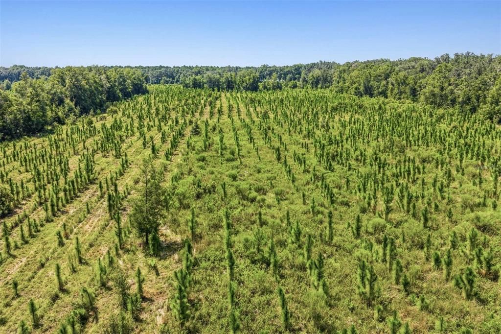For Sale: $1,744,000 (109.00 acres)