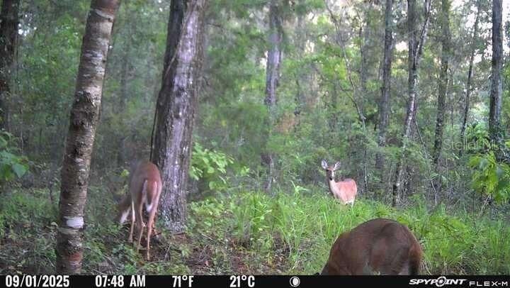 For Sale: $1,744,000 (109.00 acres)