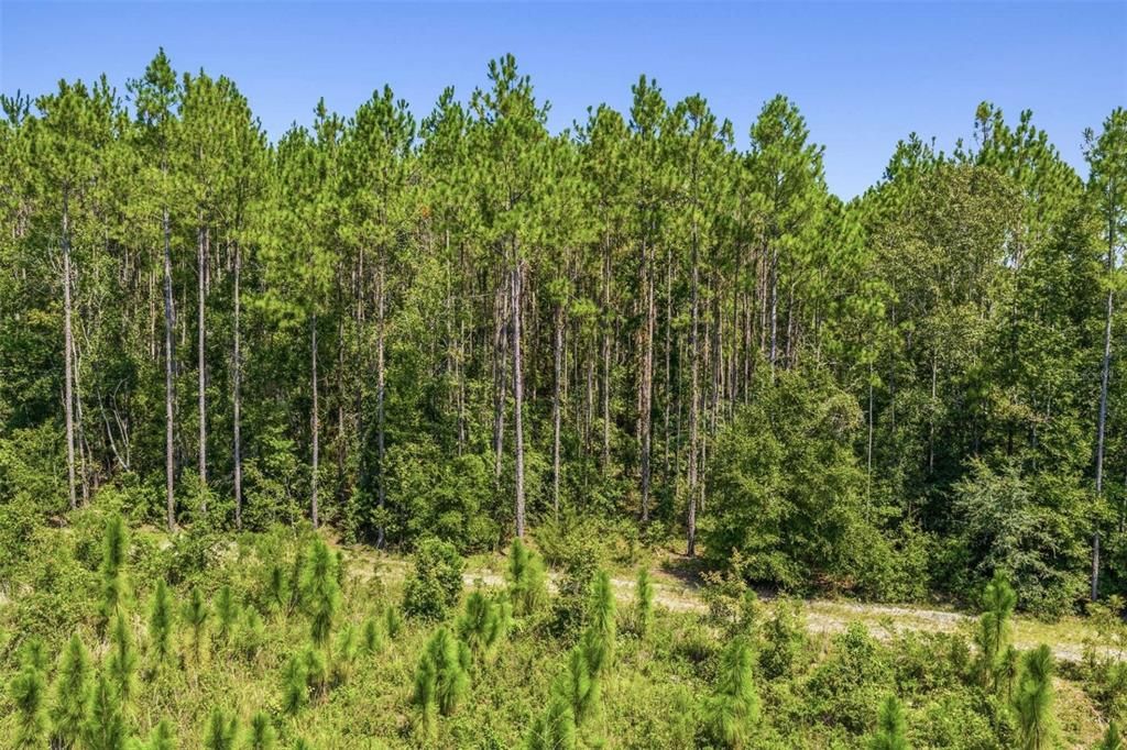 For Sale: $1,744,000 (109.00 acres)