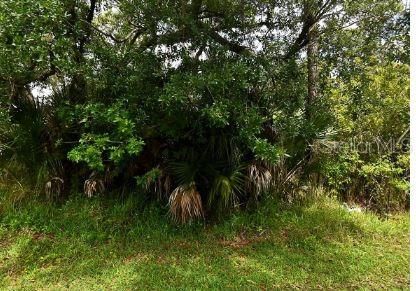 For Sale: $19,500 (0.24 acres)