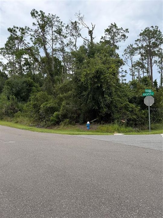 待售: $89,900 (0.29 acres)