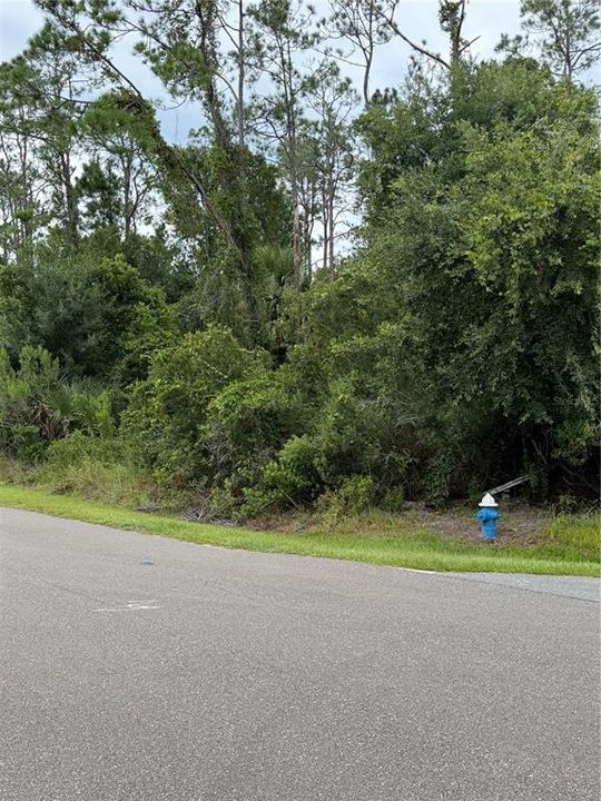 待售: $89,900 (0.29 acres)