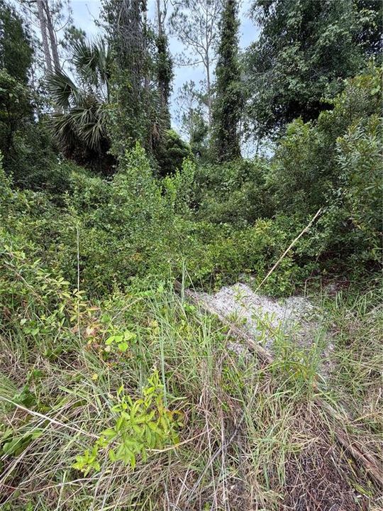 待售: $89,900 (0.29 acres)
