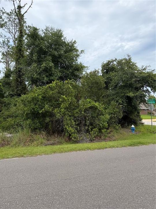 待售: $89,900 (0.29 acres)