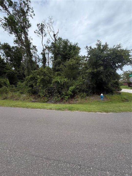 待售: $89,900 (0.29 acres)