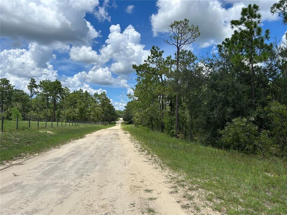 En Venta: $29,900 (1.25 acres)