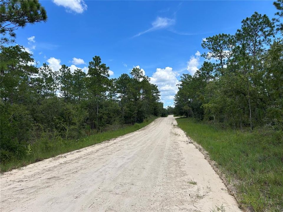 En Venta: $29,900 (1.25 acres)