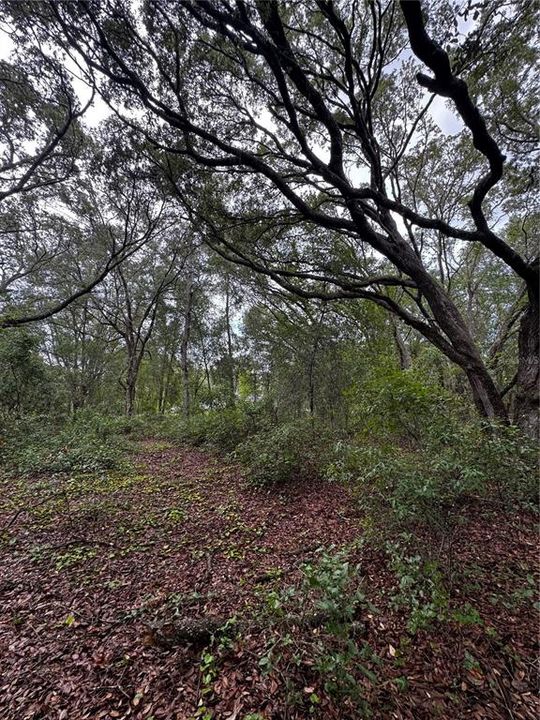 En Venta: $18,000 (0.23 acres)