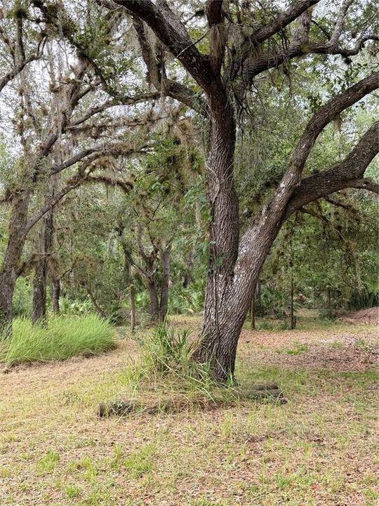 For Sale: $189,000 (5.00 acres)