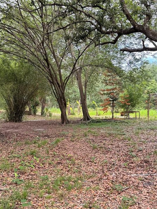 For Sale: $189,000 (5.00 acres)