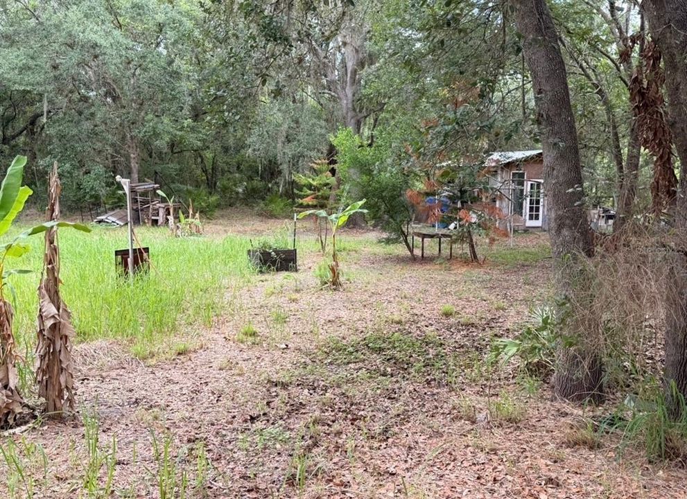 For Sale: $189,000 (5.00 acres)
