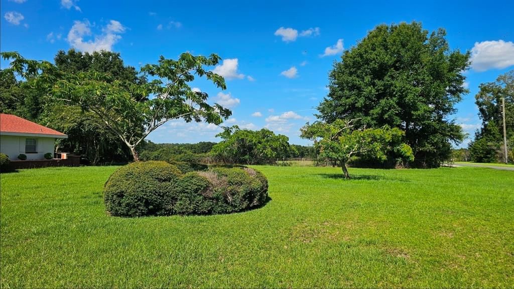 For Sale: $375,000 (2 beds, 2 baths, 1608 Square Feet)