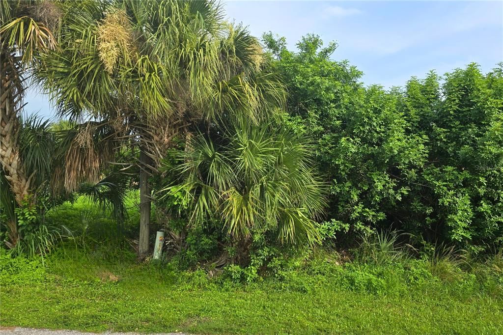 For Sale: $128,500 (0.23 acres)