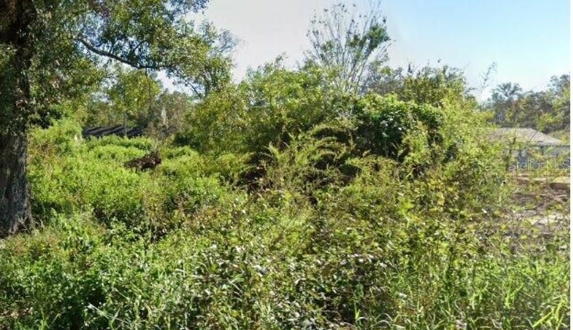 待售: $50,000 (0.23 acres)