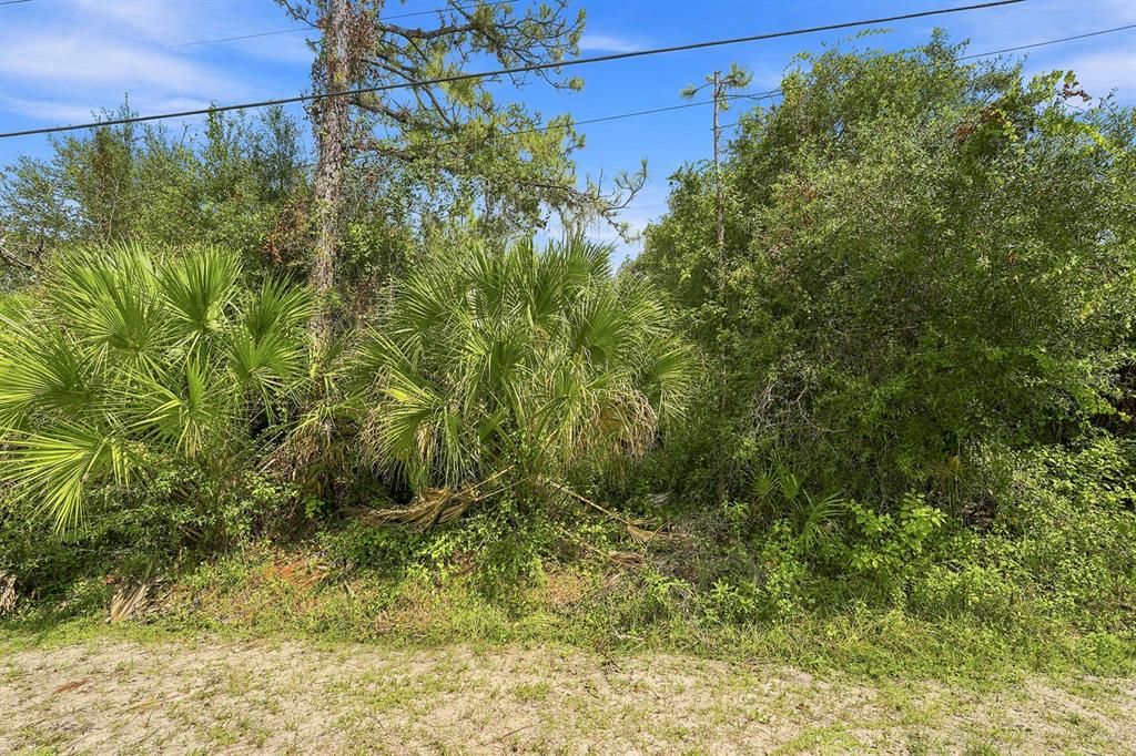 For Sale: $39,900 (0.23 acres)