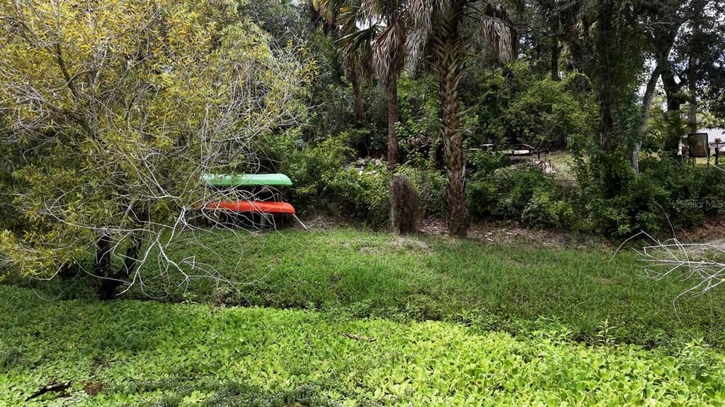 For Sale: $39,900 (0.23 acres)