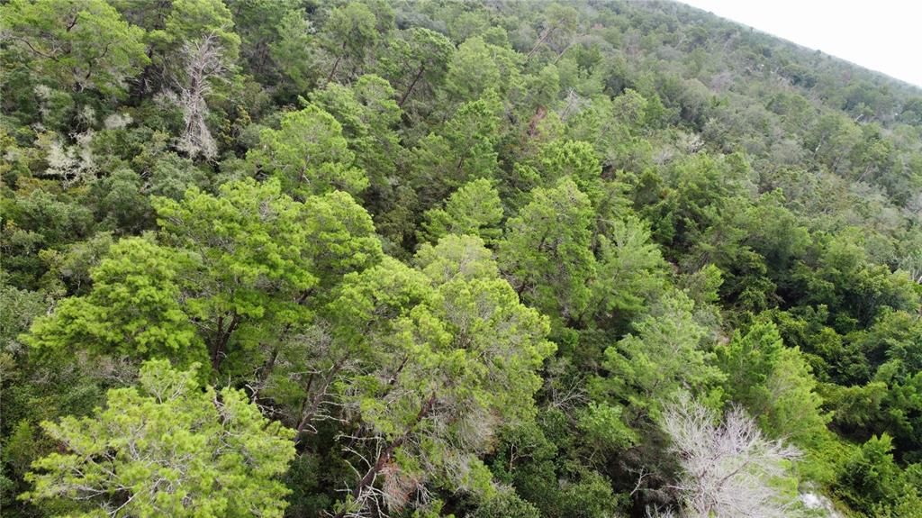 На продажу: $189,900 (4.74 acres)