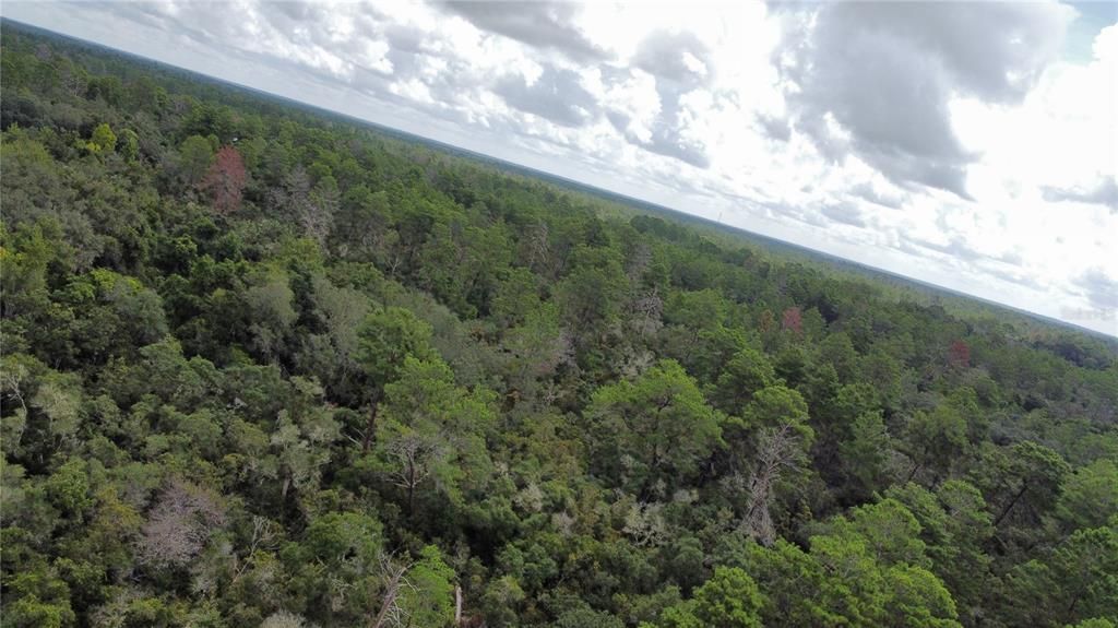 На продажу: $189,900 (4.74 acres)