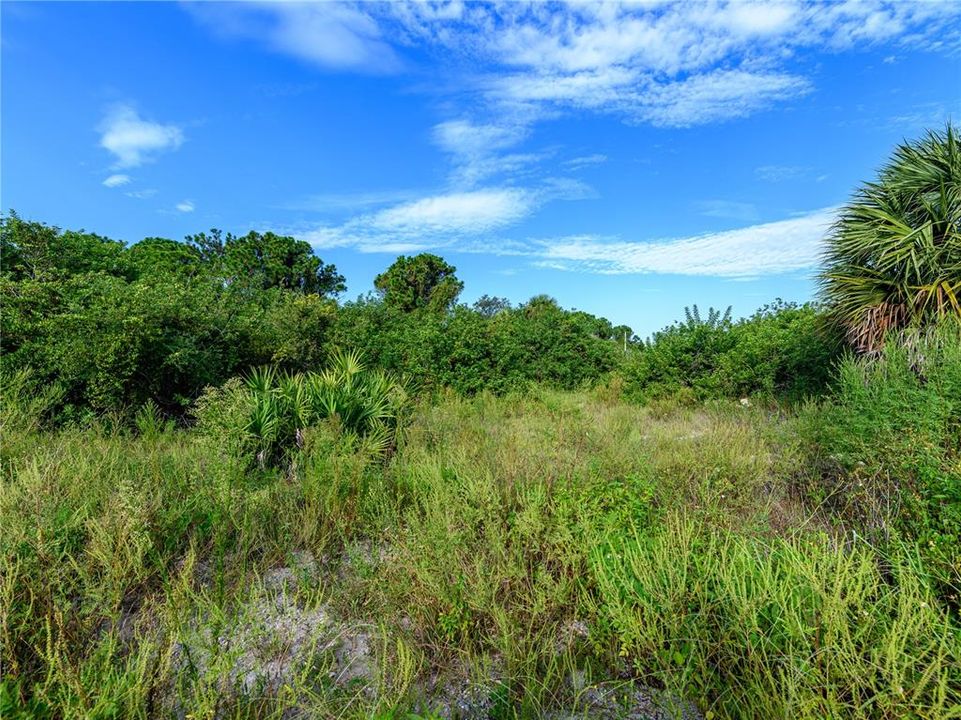合同活跃: $15,000 (0.27 acres)