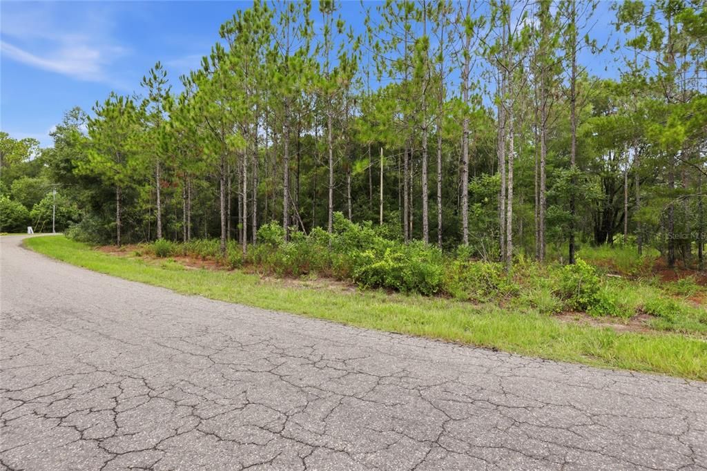 For Sale: $214,900 (8.86 acres)