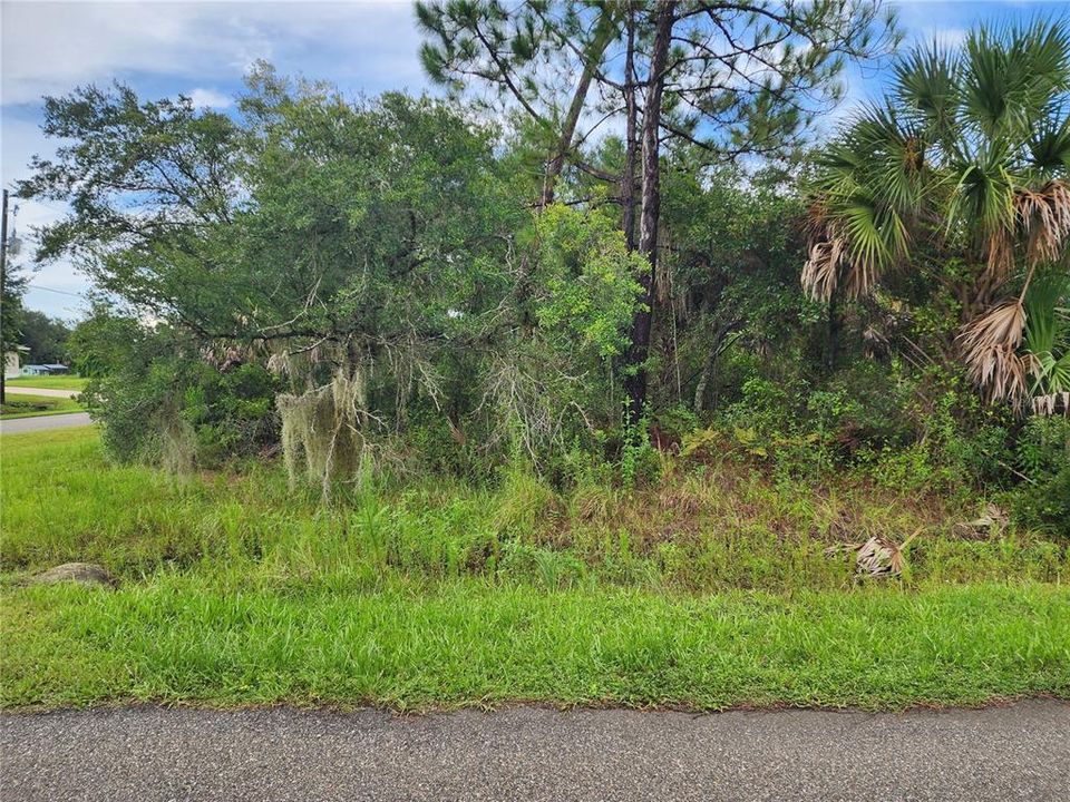 For Sale: $19,000 (0.26 acres)