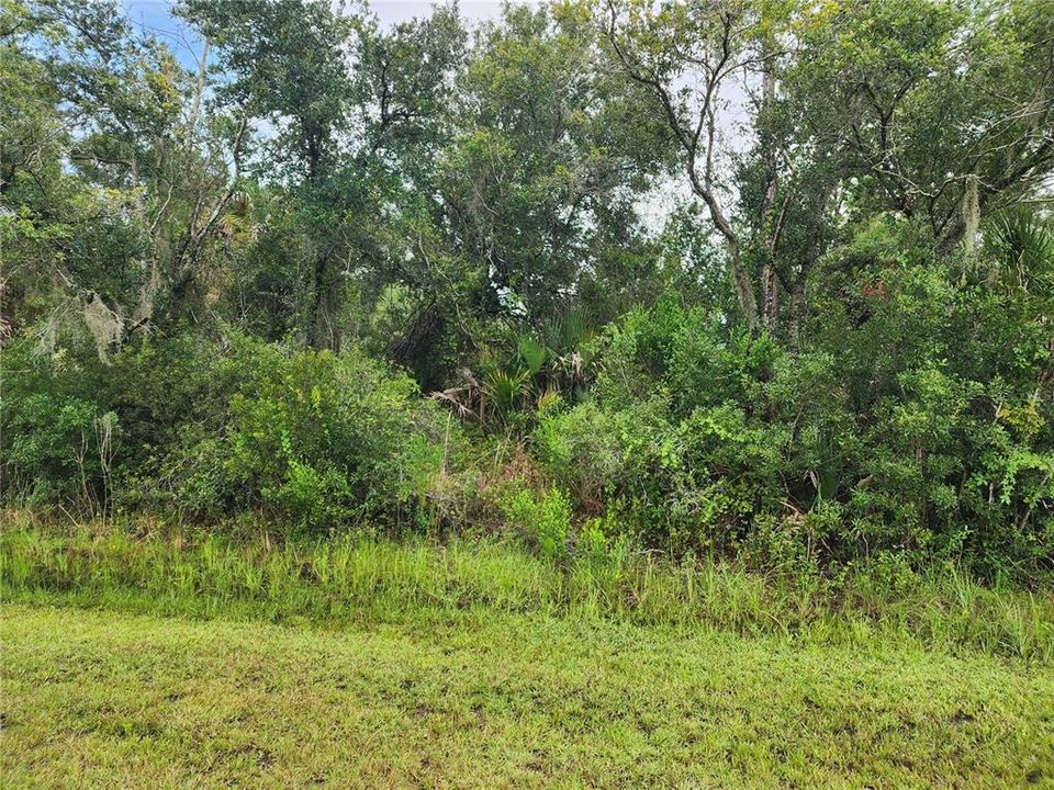 For Sale: $19,000 (0.26 acres)