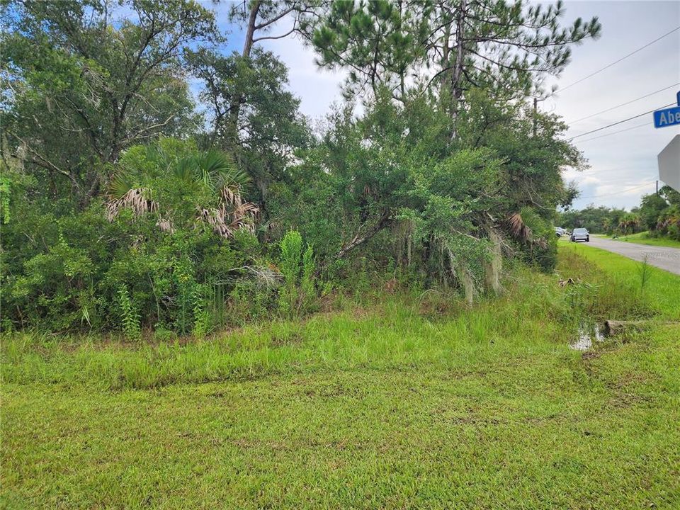For Sale: $19,000 (0.26 acres)