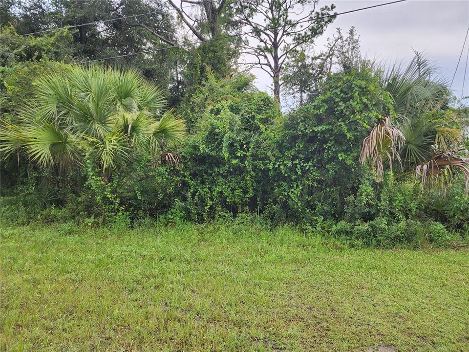 На продажу: $19,000 (0.24 acres)