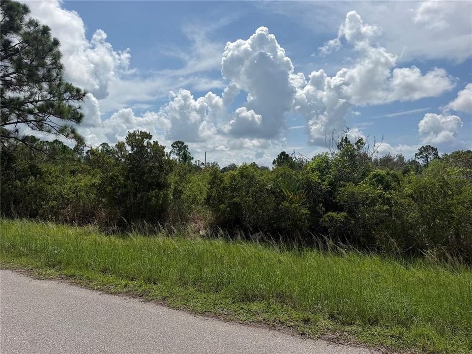 For Sale: $16,900 (0.23 acres)